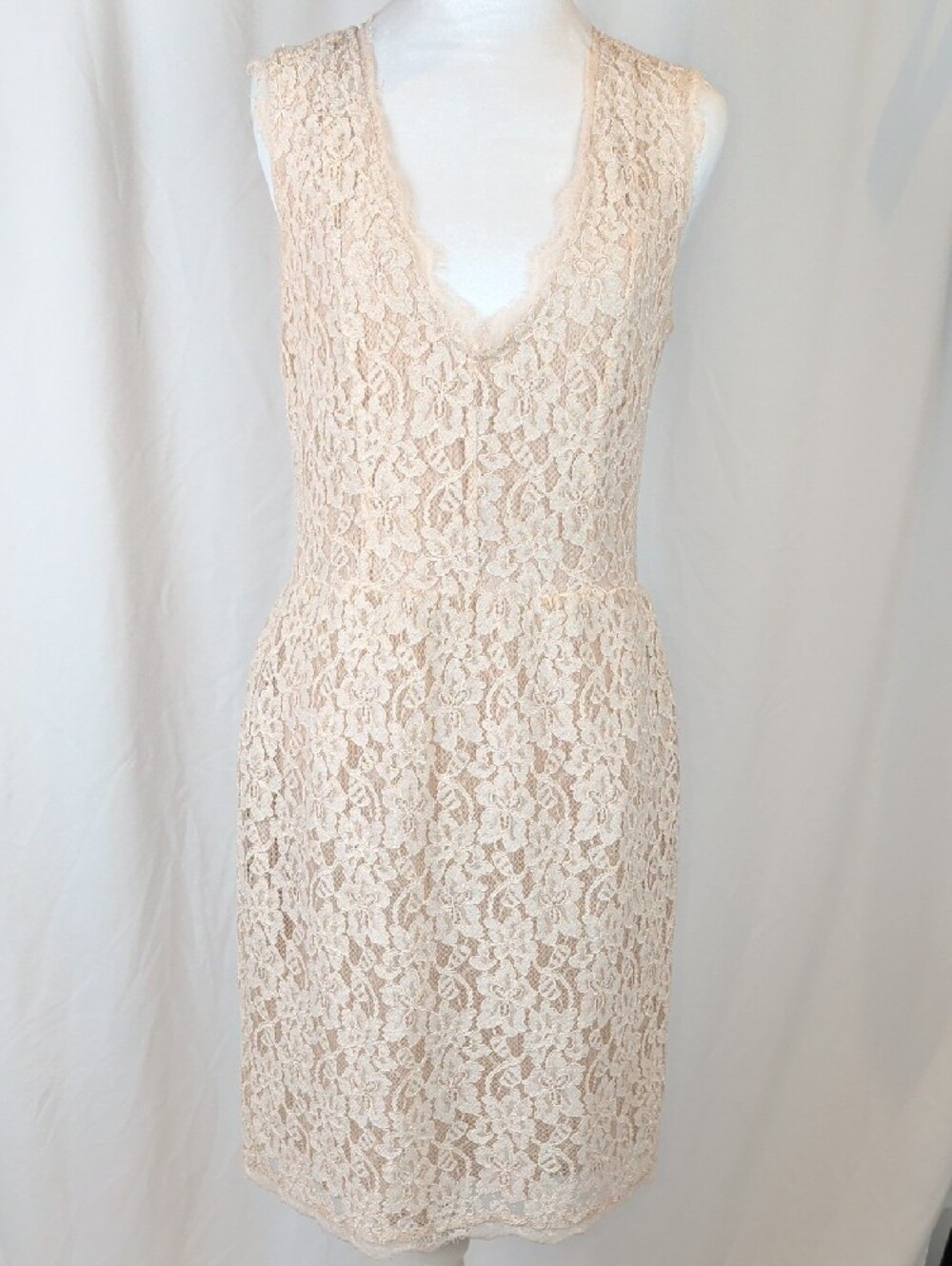Aritzia Babaton Lace Shift Dress Nude Beige Size 8 Pockets